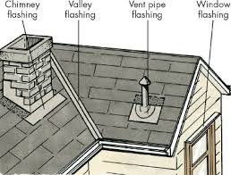 Roof Flashing | Wildlife X Team / Wildlife Inspection Report®